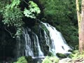 これは、今年の春に撮影した滝の動画です。マイナスイオンたっぷりですよ〜(^^)